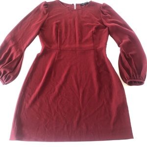 Cranberry Dolman Sleeve Zara Dress Size L